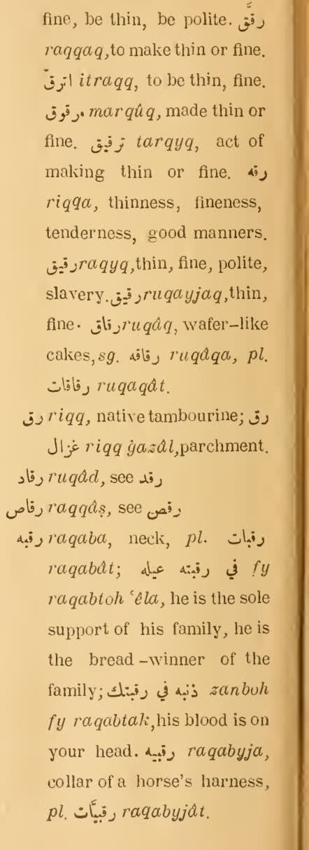 Previous page where this definition is extracted from: page 232, column 2